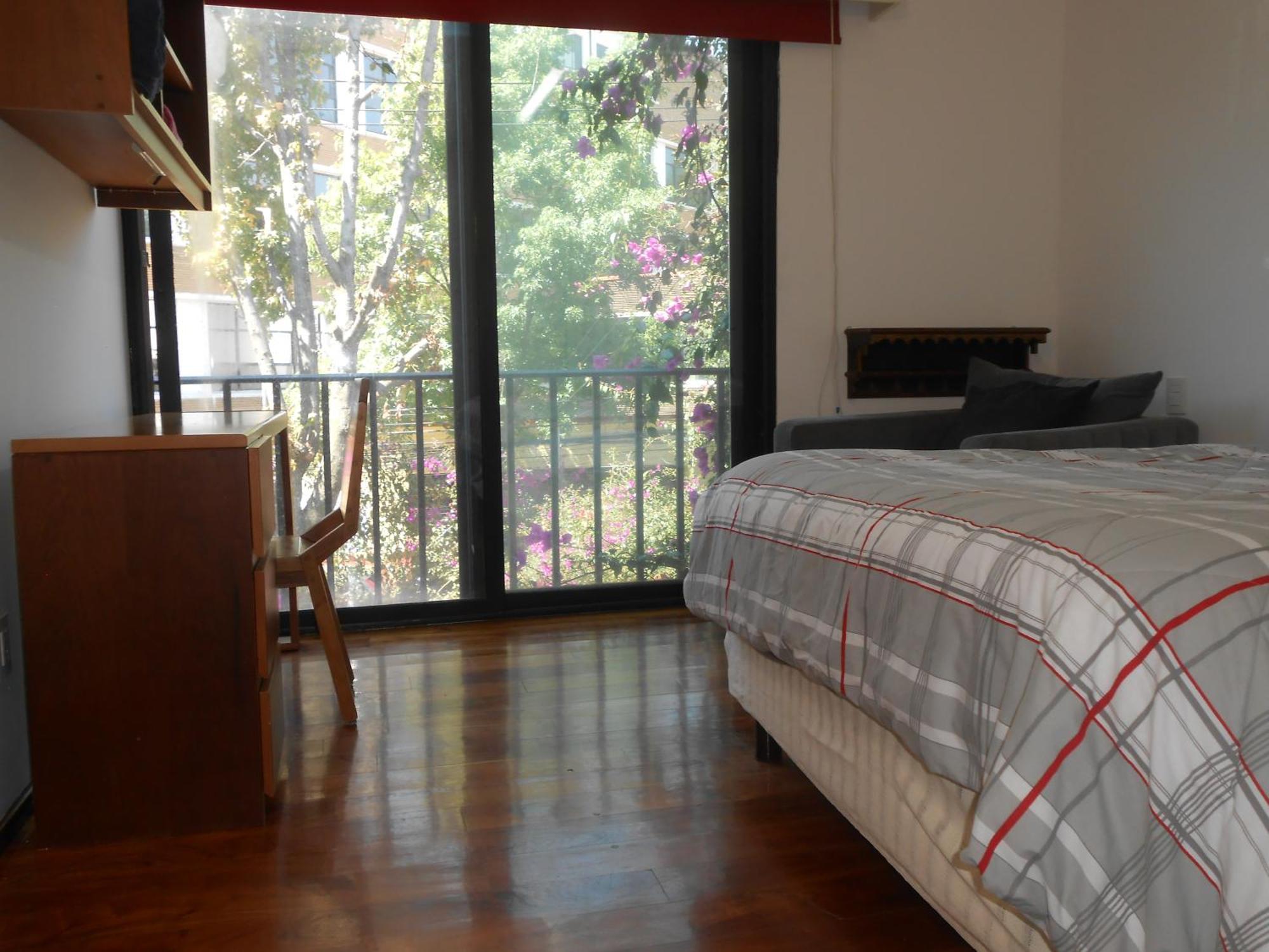 Апартаменти Terraza & Loft San Angel Мехіко Екстер'єр фото