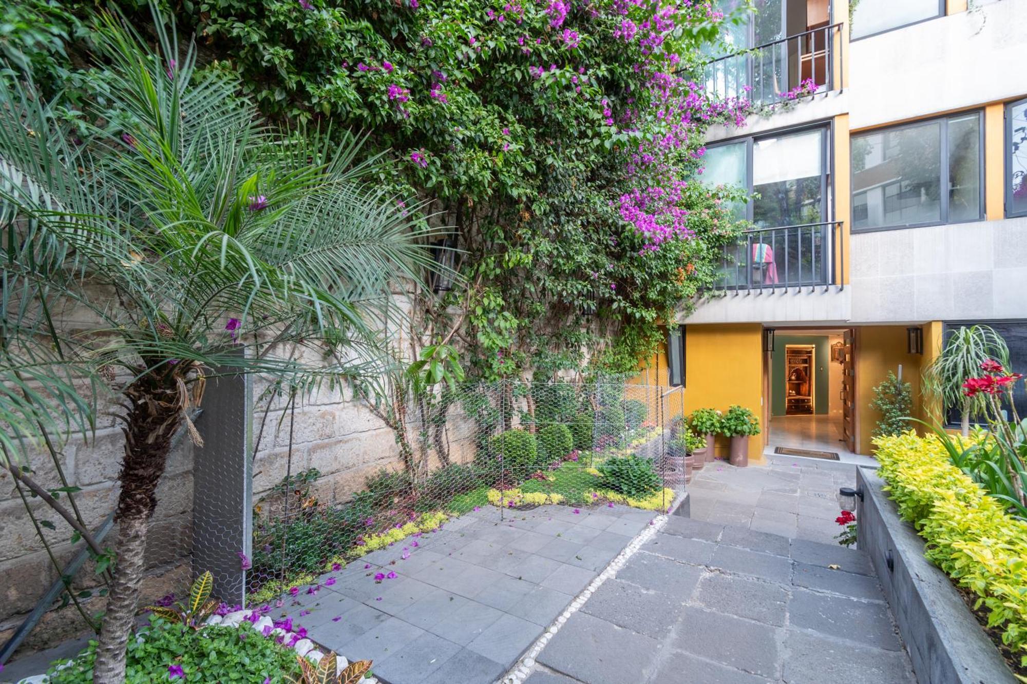 Апартаменти Terraza & Loft San Angel Мехіко Екстер'єр фото