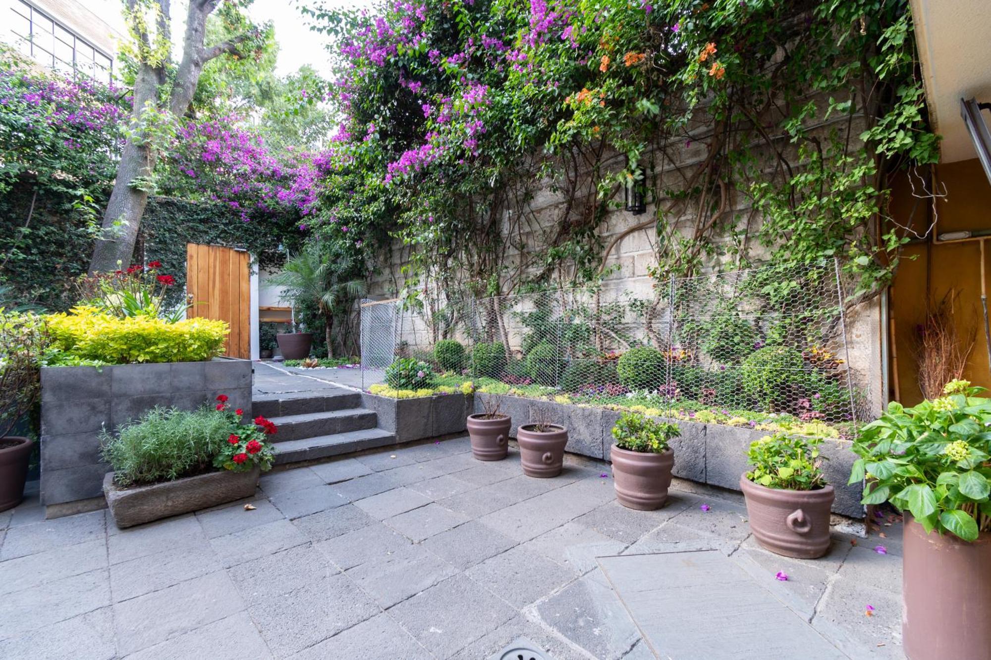 Апартаменти Terraza & Loft San Angel Мехіко Екстер'єр фото