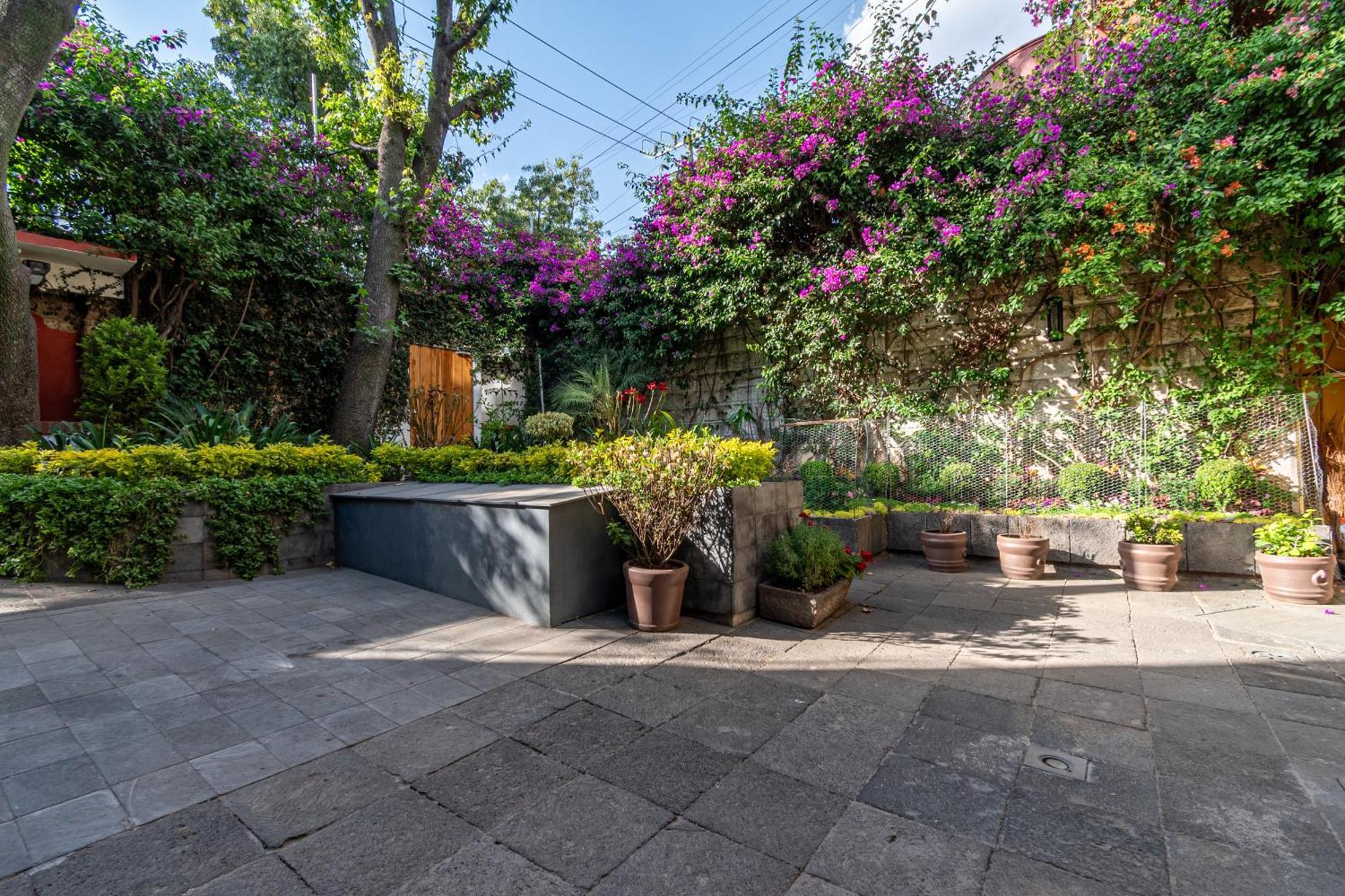 Апартаменти Terraza & Loft San Angel Мехіко Екстер'єр фото