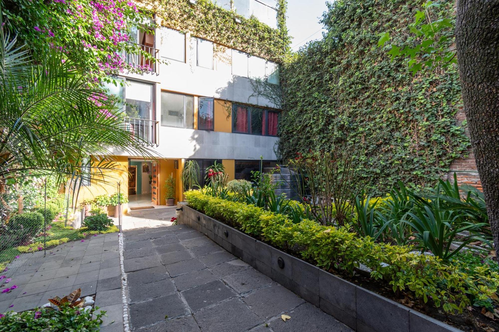 Апартаменти Terraza & Loft San Angel Мехіко Екстер'єр фото